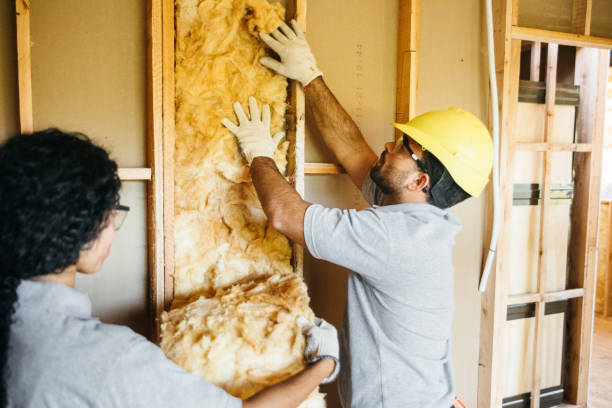 Best Garage Insulation  in Geneva, WA